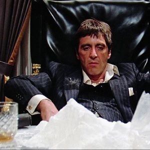 Meet your Posher, Kenny